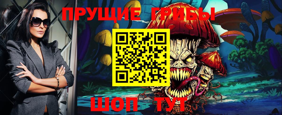 Псилоцибиновые грибы Psilocybine cubensis Лесной