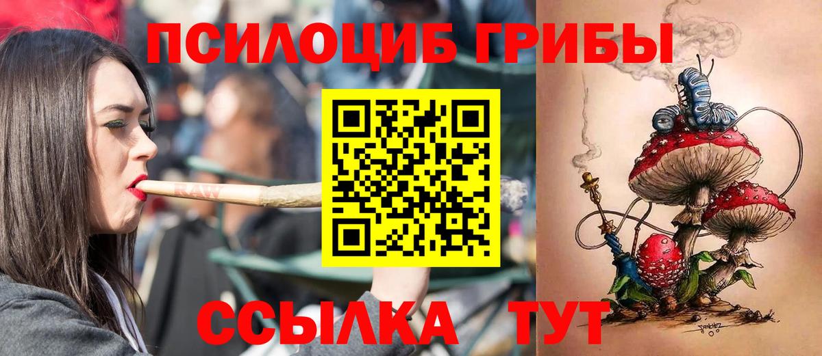 Псилоцибиновые грибы Psilocybe  Вход с VPN  Лесной  Псилоцибиновые грибы Cubensis 